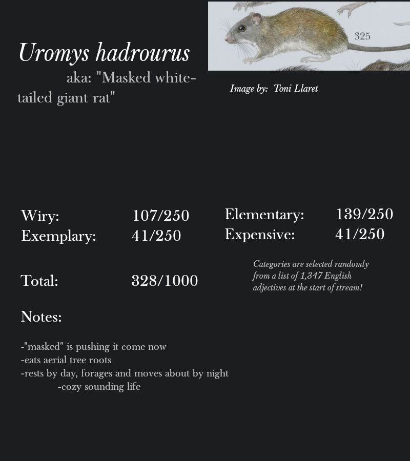 Uromys hadrourus